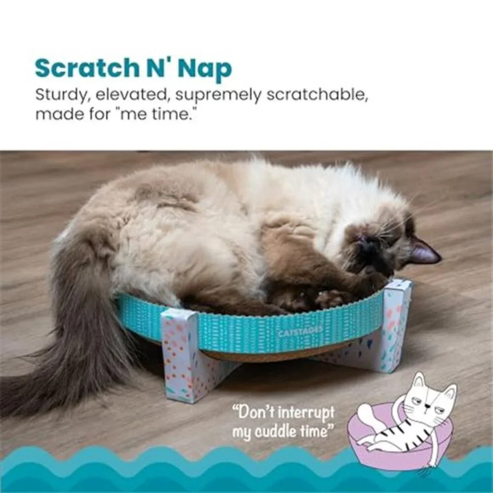 N/A 🧿cat lounger